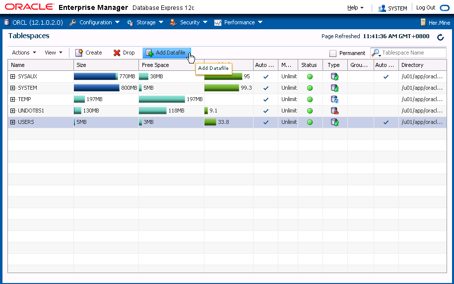 Adding database storage space through Oracle Enterprise Manager