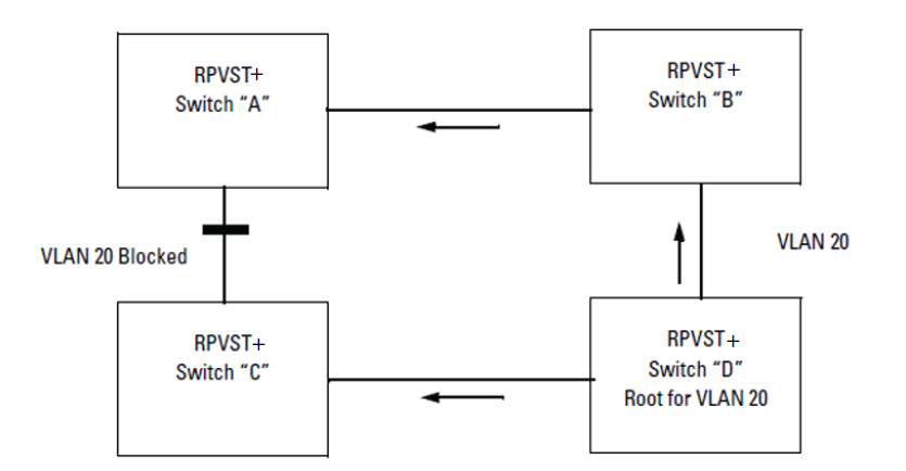 RPVST+ creating a spanning tree for VLAN 20