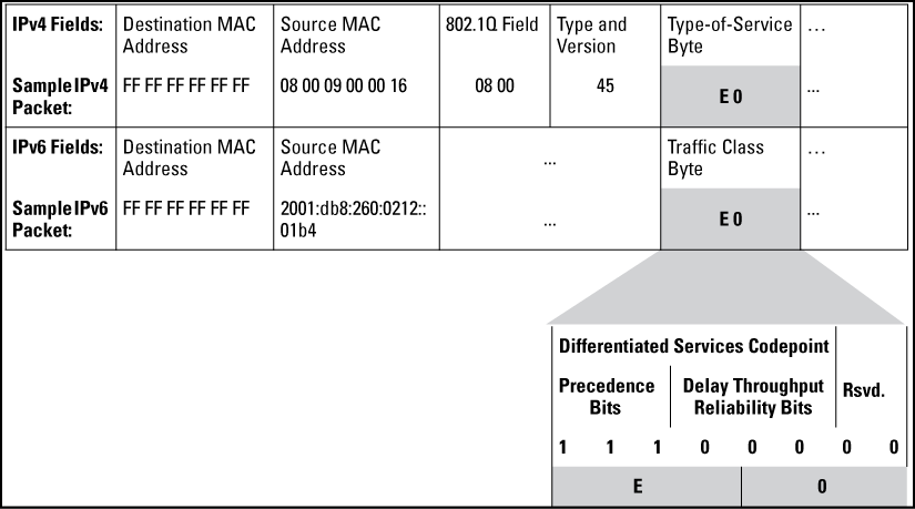 IPv4 ToS/IPv6 traffic class byte with DSCP codepoint and precedence bits