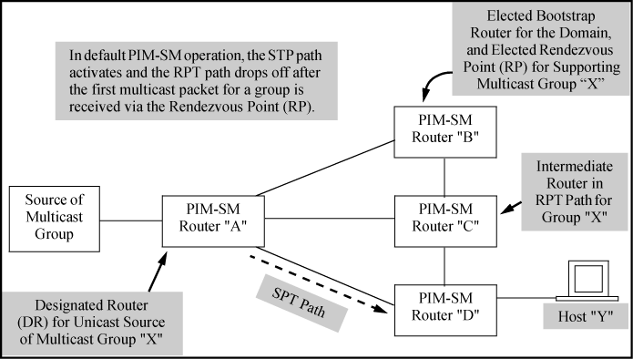 PIM-SM domain with SPT active to support a host that has joined a multicast group