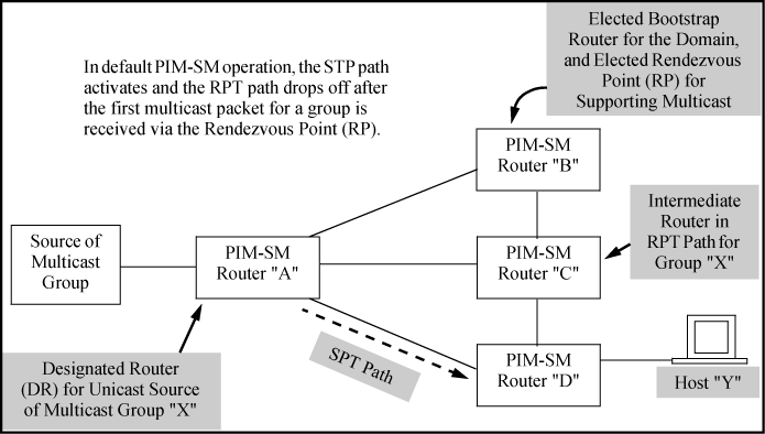 Example PIM-SM domain with SPT active to support a host that has joined a multicast group