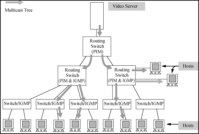 Example of multicast tree for a given flow