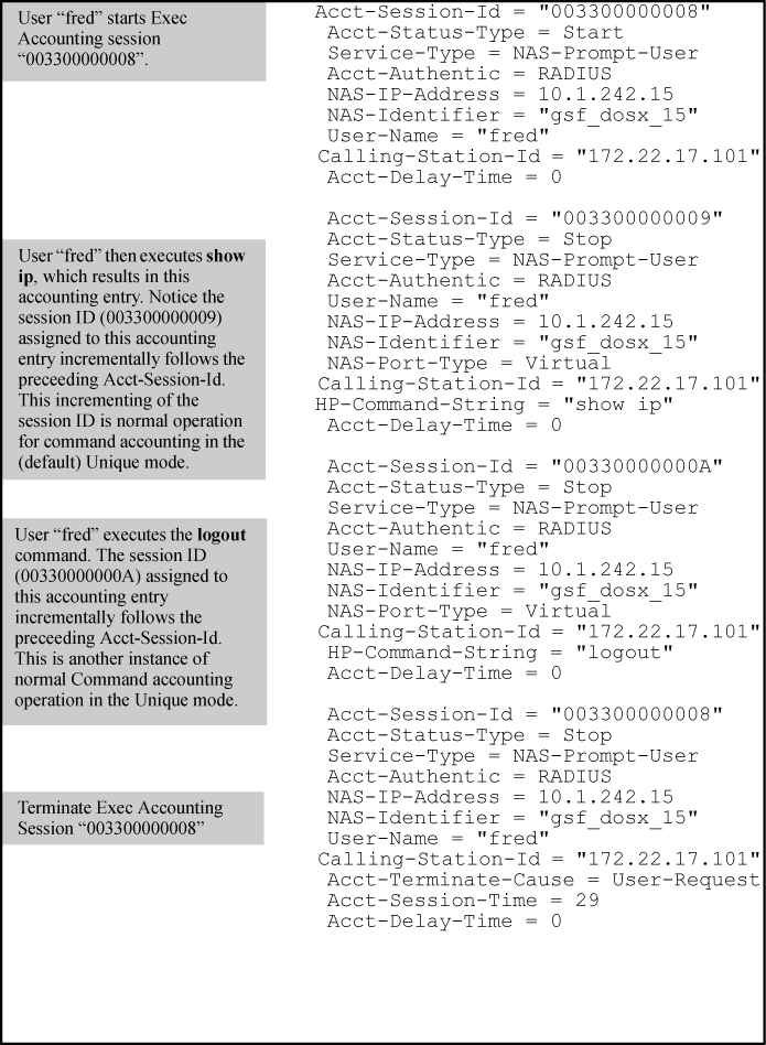 Example of accounting in the (default) unique mode