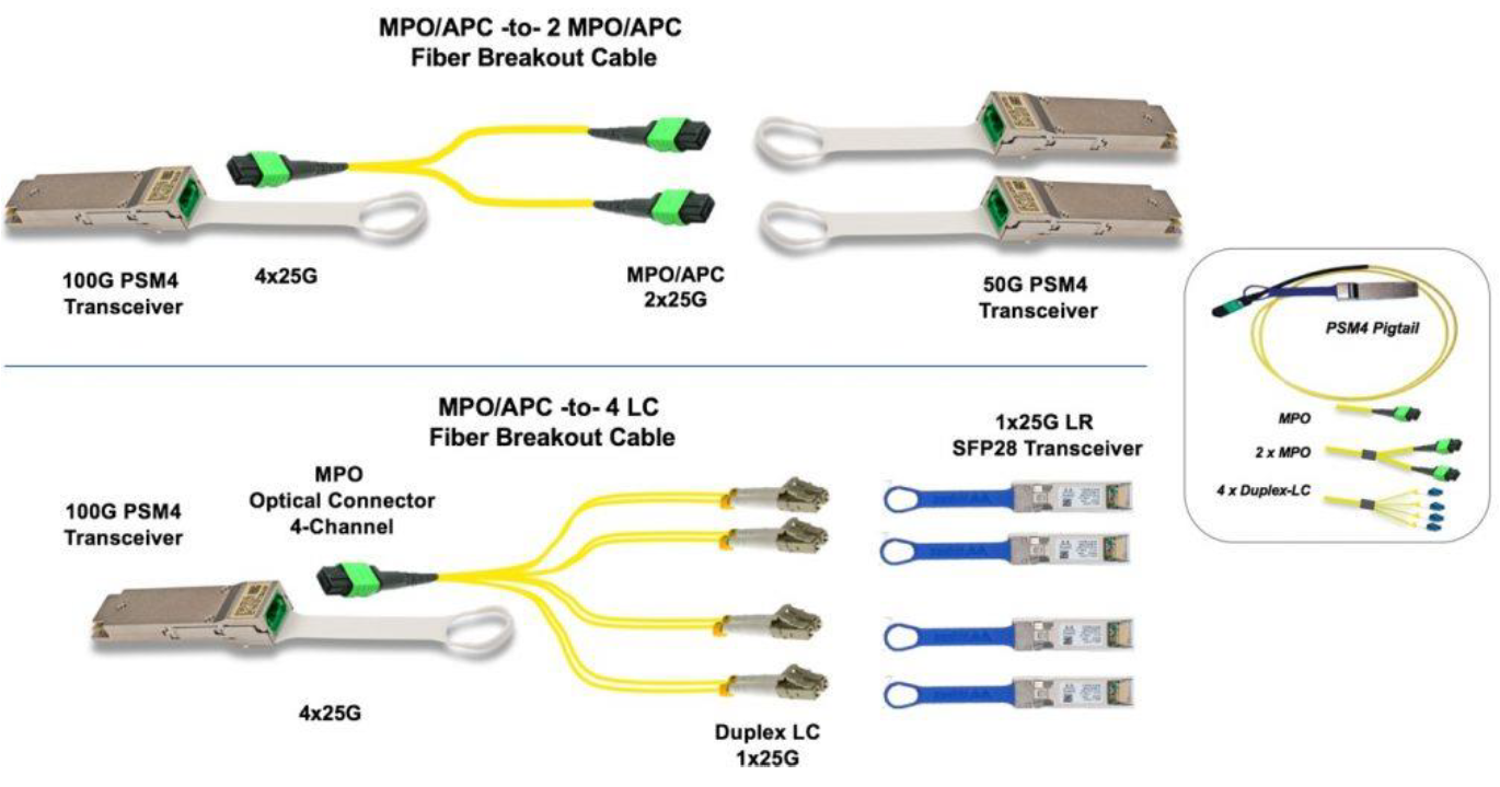 MPO/APC to 2 MPO/APC Fiber Breakout Cable